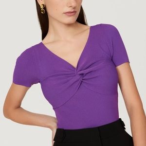 **NWT SANDRO TEMPLE TOP**